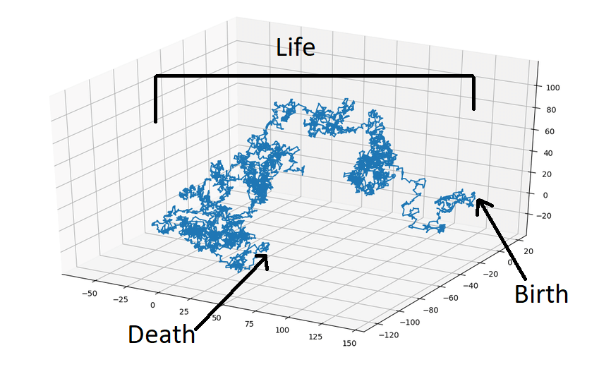 Birth life death