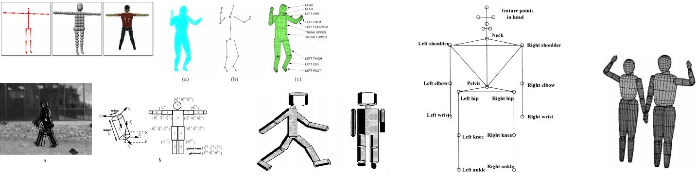bodies