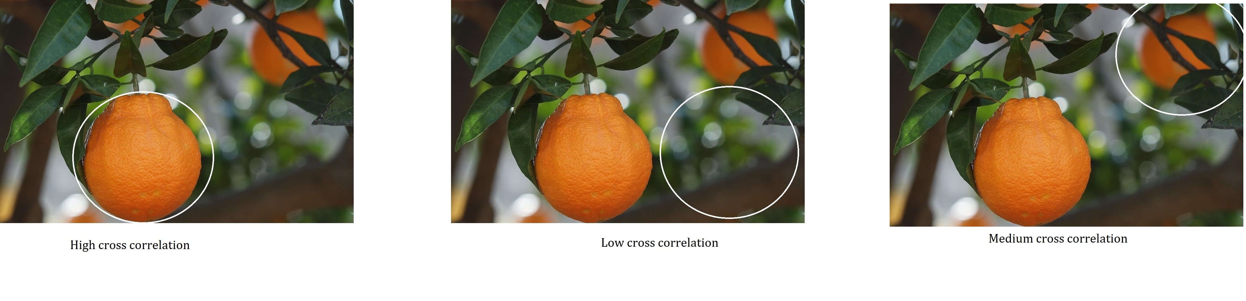 correlation
