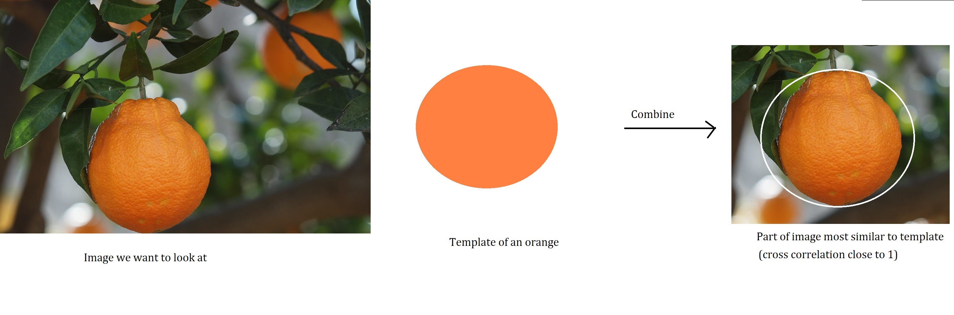orange template